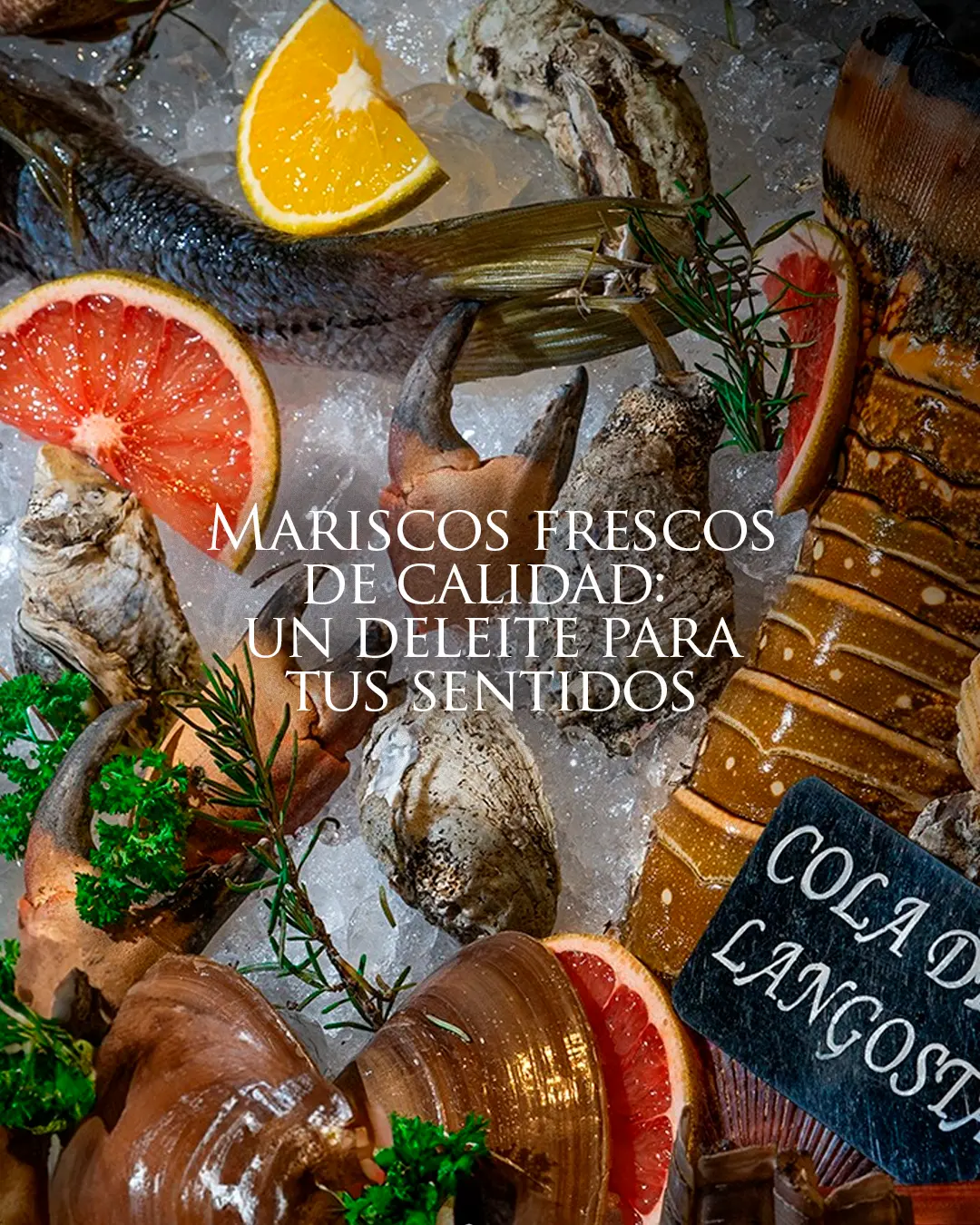 Mariscos frescos de calidad, barra fría