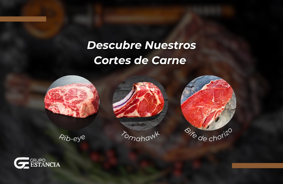 Experiencia gastronómica, cortes de carne