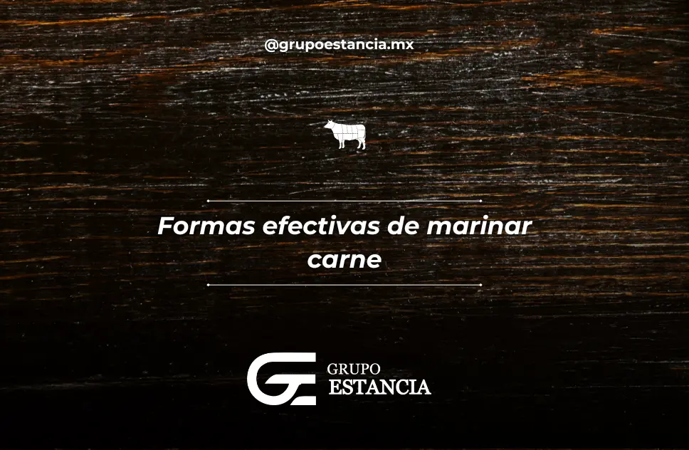 formas de marinadas para cortes de carne formas de marinadas para cortes de carne