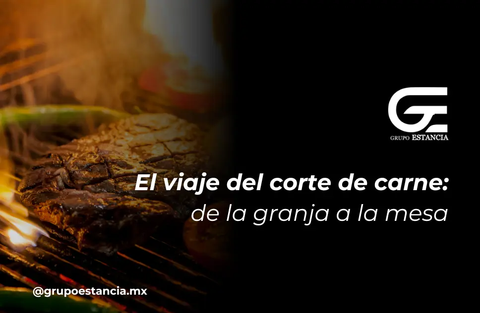 proceso de corte de carne