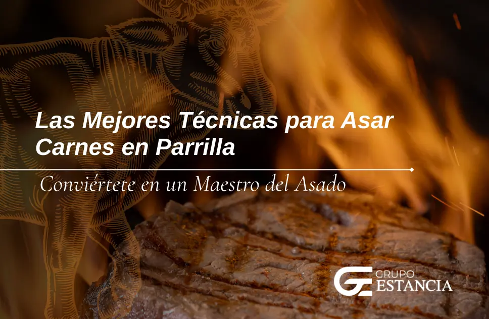 mejores técnicas para asar carnes en parrilla