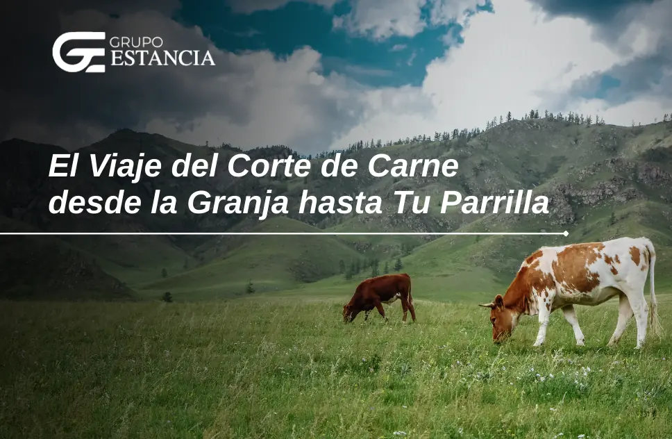 viaje del corte de carne