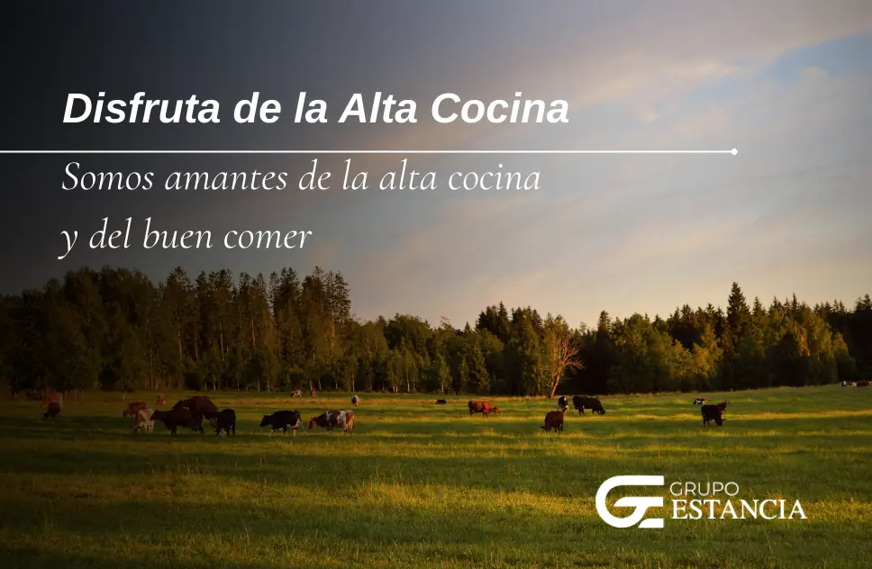 viaje del corte de carne de la granja a tu mesa viaje del corte de carne de la granja a tu mesa