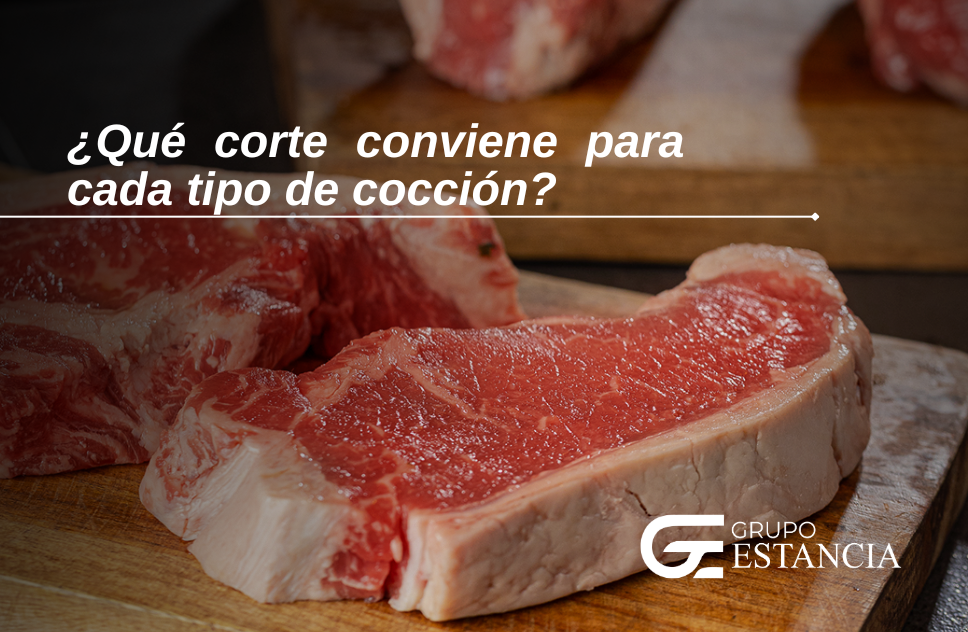 guia completa para elegir tipos de cortes