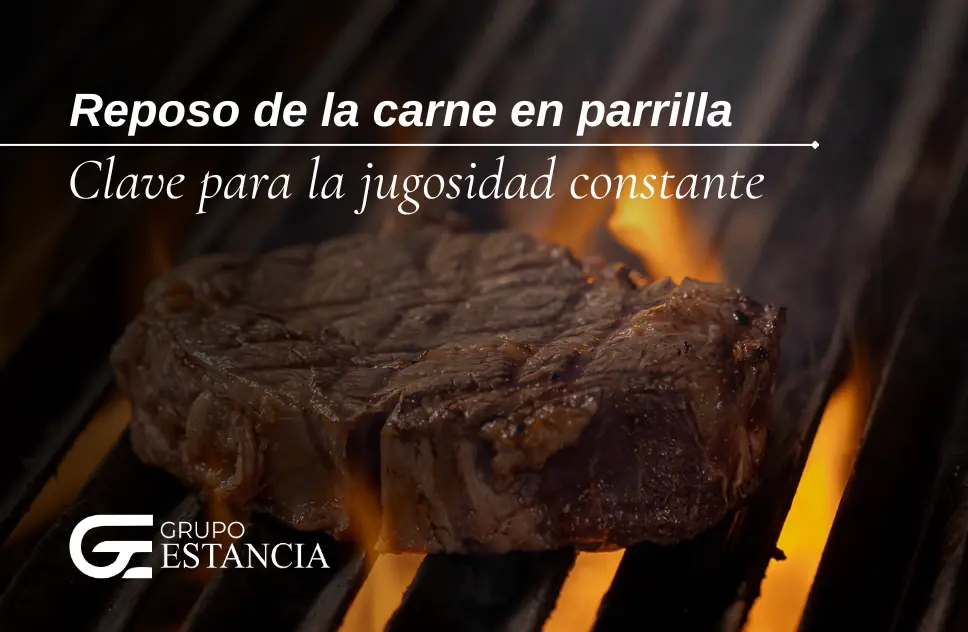 planificar parrilla con cortes de carne mixtos