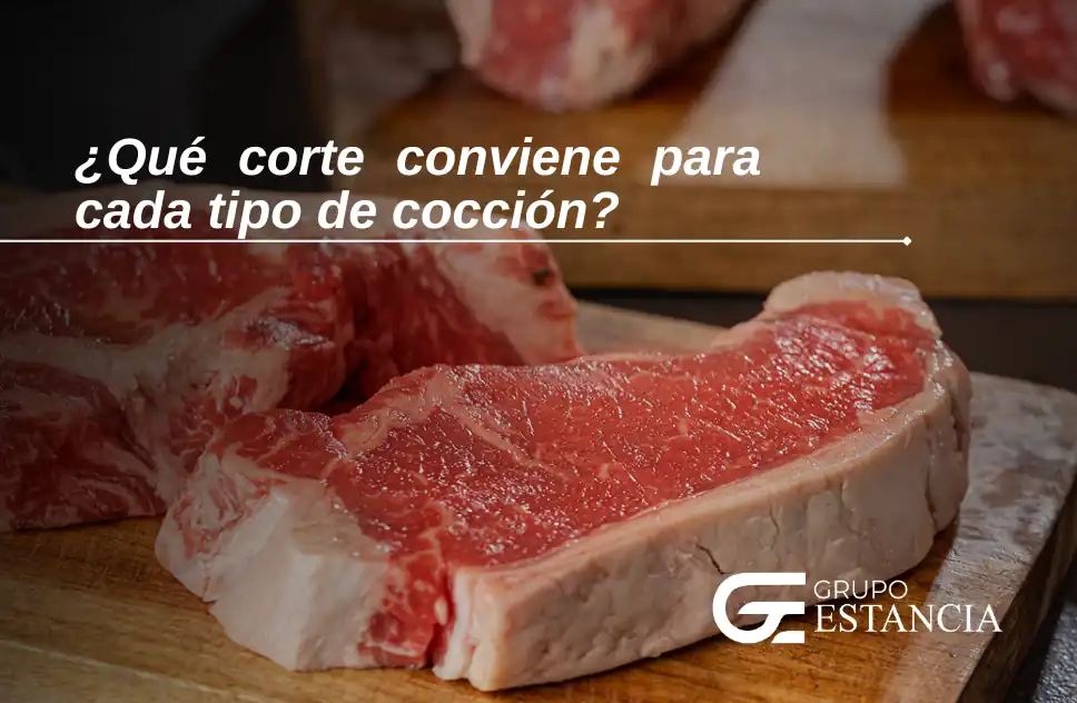 guia completa para elegir tipos de cortes guia completa para elegir tipos de cortes