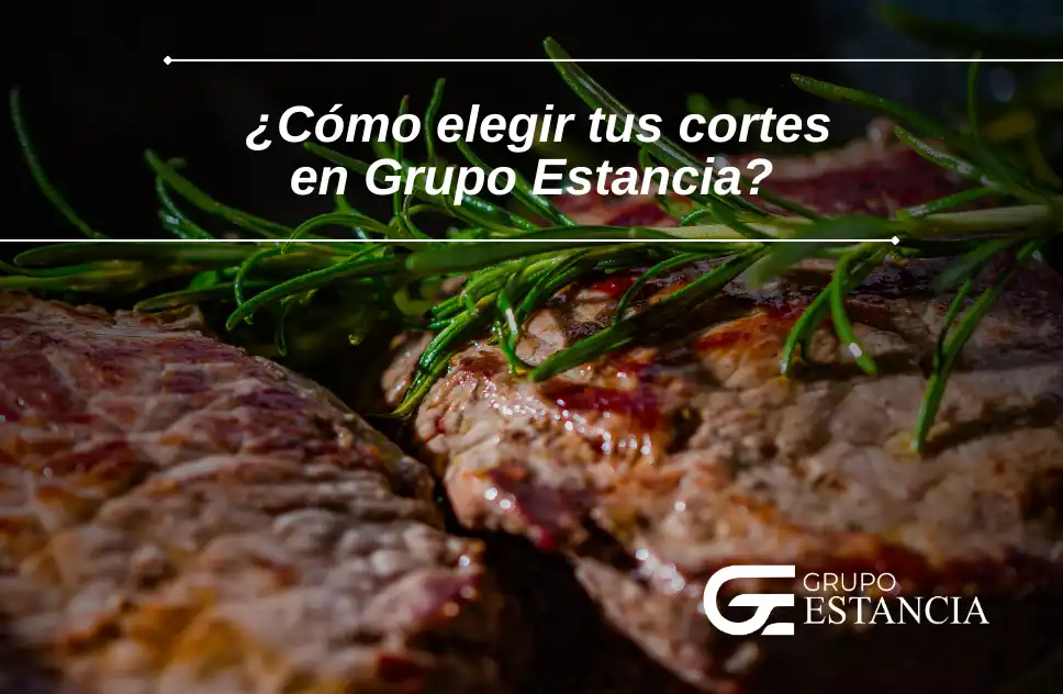 guía práctica origen y crianza de la carne para elegir